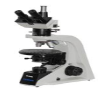 BEION M4-FL生物显微镜