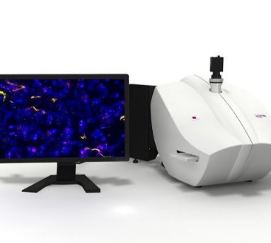 2P-STED-1荧光玻片显微图像扫描系统