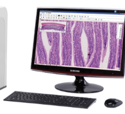 PS-SF8000B全自动数字切片扫描分析系统