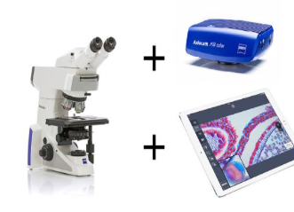 Axiolab 5生物显微镜