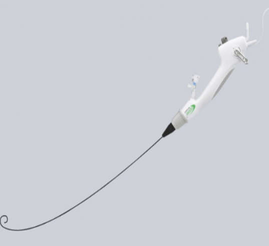 一次性使用电子输尿管肾盂内窥镜导管us31d-12-us