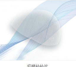 PP-H1 普瑞德疝修补补片