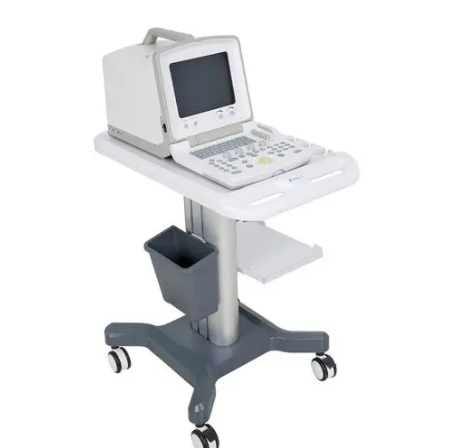 BELSON 760A 全数字彩色超声监视宫腔手术仪