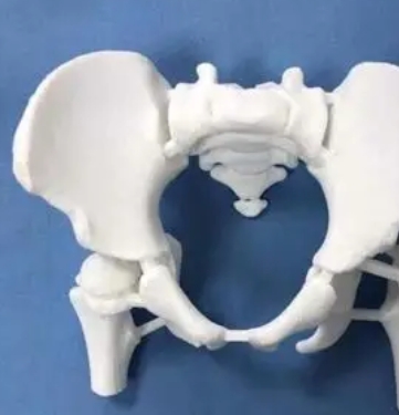施乐辉3D打印髋臼系统