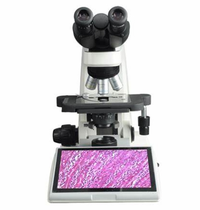 BMC300 数码生物显微镜凤凰光学