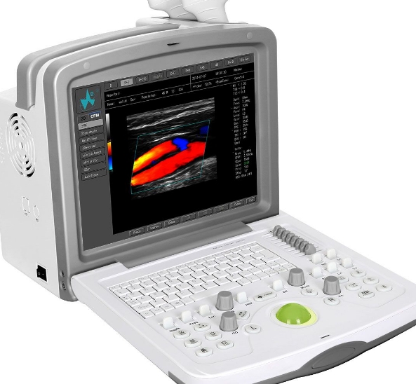 11.png
