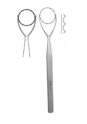 11.png