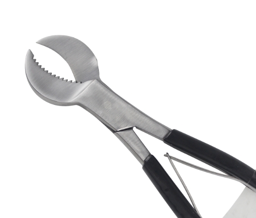 11.png