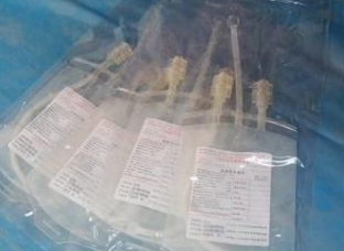 小号、大号臭氧套袋前沿