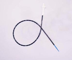 一次性使用导管鞘言启