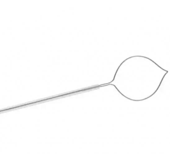 lt-250 一次性使用圈套器