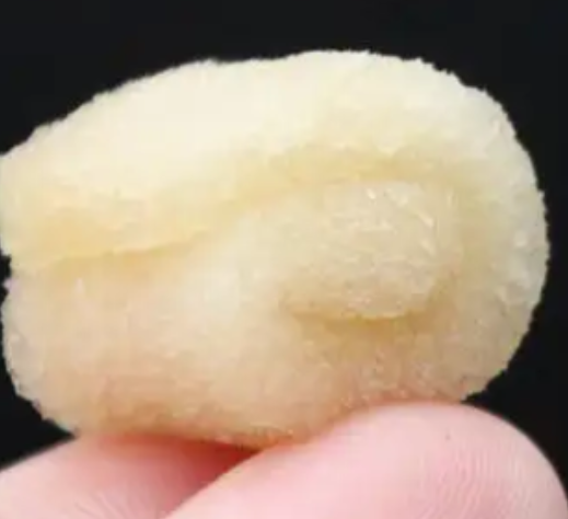口腔止血海绵 益安