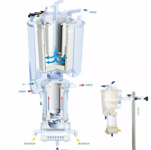 CX=FX15RW30 集成式膜式氧合器