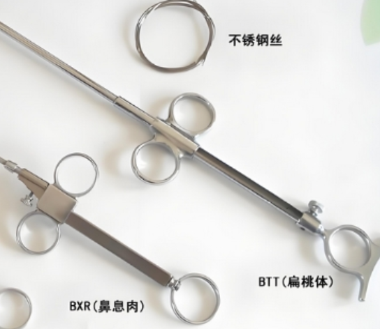 btt-b 扁桃体器