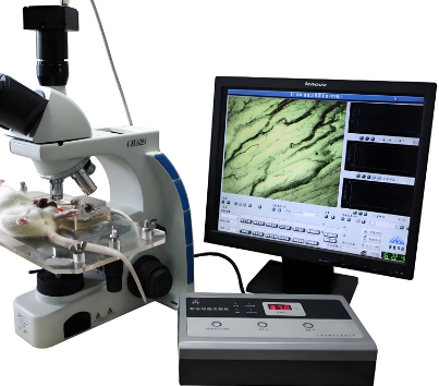 MJS-CELL-5P 美佳家子宫内膜细胞医学图像分析系统