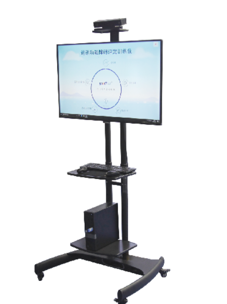 YD-EF810 运动功能障碍评定训练仪厂家