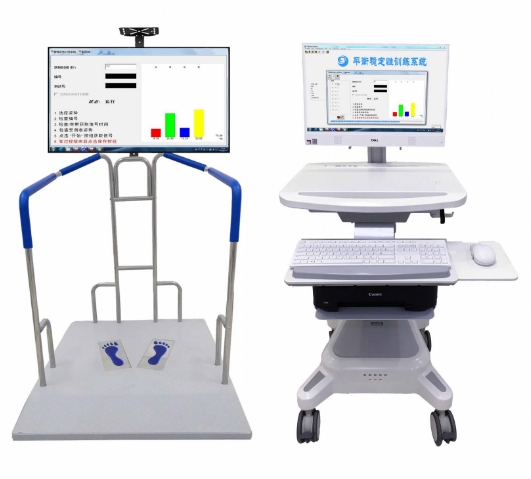 ReadyGo-1-2 平衡测试系统供应商