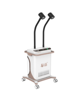 BQ-DMJ-1 中医督脉灸疗仪价格