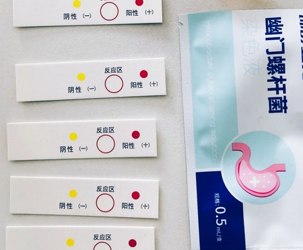 K幽门螺杆菌染色试剂盒普诺基厂家