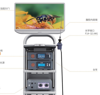 楚精灵消化内镜影像实时质控辅助监测设备ENDOANGEL QC-Z-A拿货价