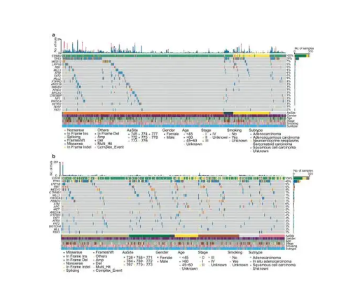 VariantPro_mTag/fusion 1.0非小细胞肺癌基因突变分析软件直销