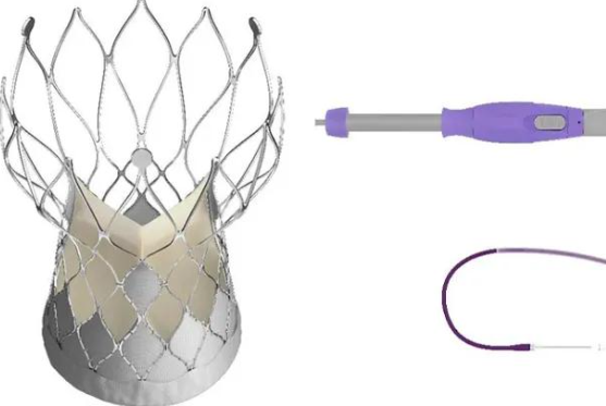 FG17000-AV26 经导管主动脉瓣系统批发价