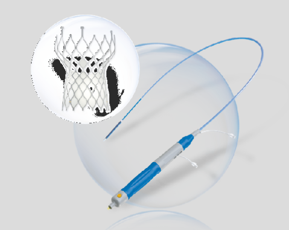 经导管主动脉瓣系统采购价