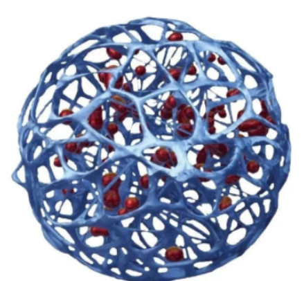 聚乙烯醇栓塞微球驼人贝斯特批发价