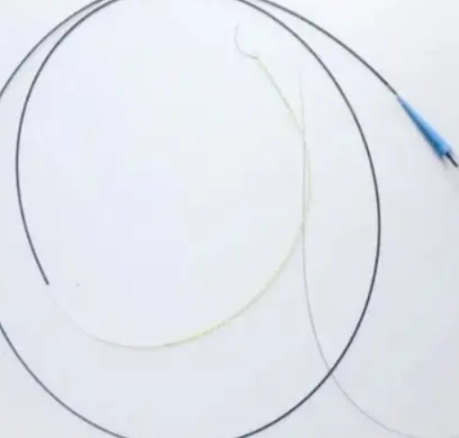 一次性使用心内标测导管平台