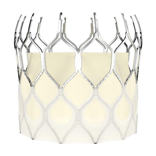 TAVTA21 经导管植入式主动脉瓣膜系统价格范围