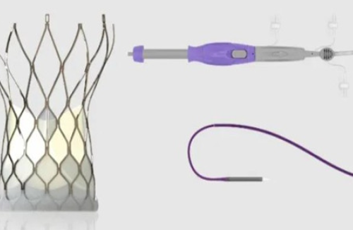 CVM-VV 21mm 经导管主动脉瓣膜系统零售价