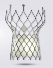 经导管主动脉瓣膜系统价格区间