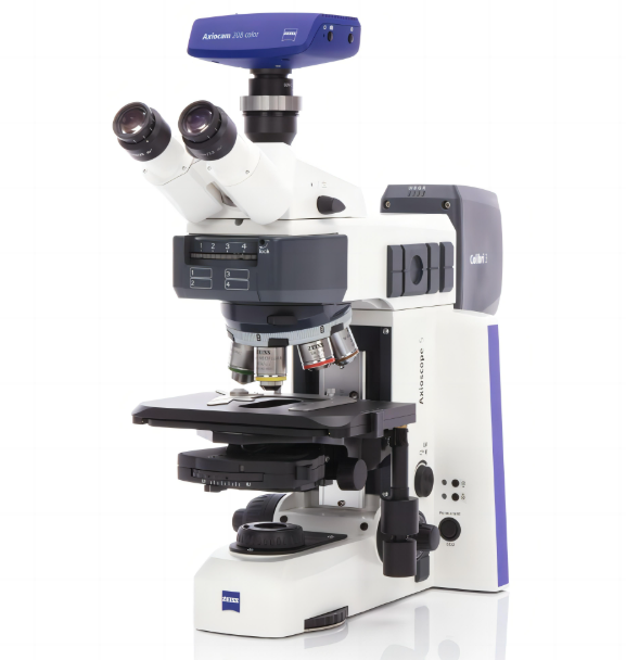 Axioscope 5 Bio-TL 电子显微镜价格区间