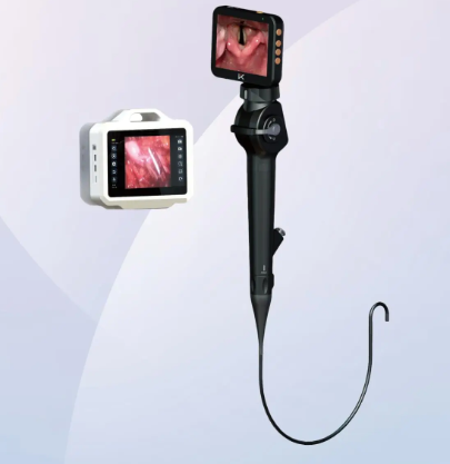 ENT-HN电子鼻咽喉镜询价