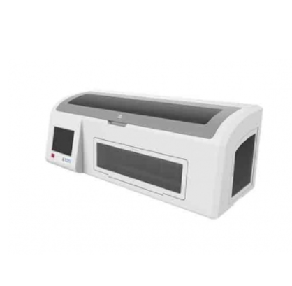 DX-AutoBlot 50全自动免疫印迹分析仪供应商