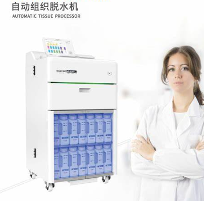 HP300 全自动组织脱水机厂家销售价