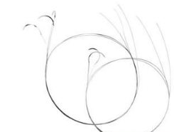 11.png