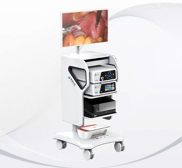 11.png