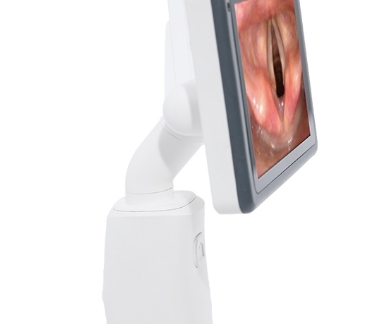 11.png