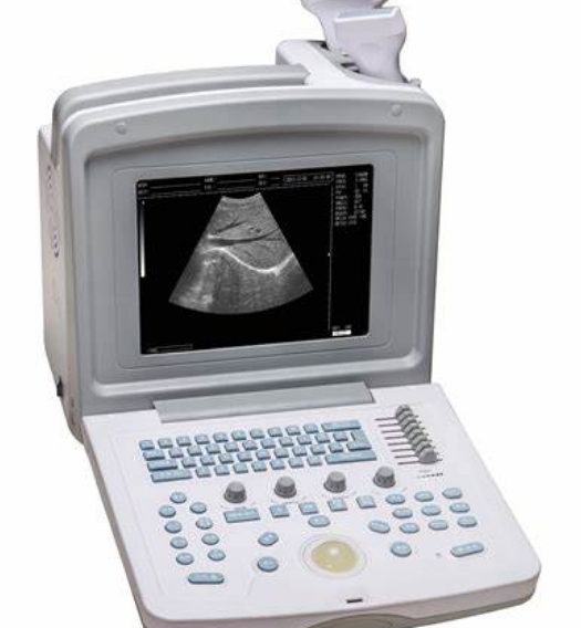 11.png