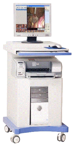 11.png