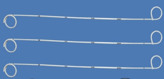 11.png