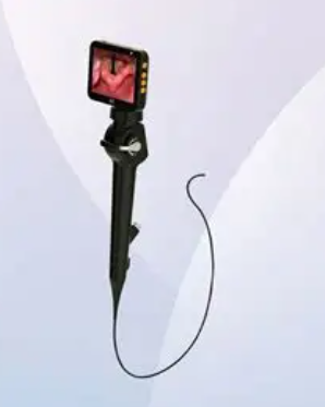 11.png