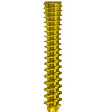 11.png