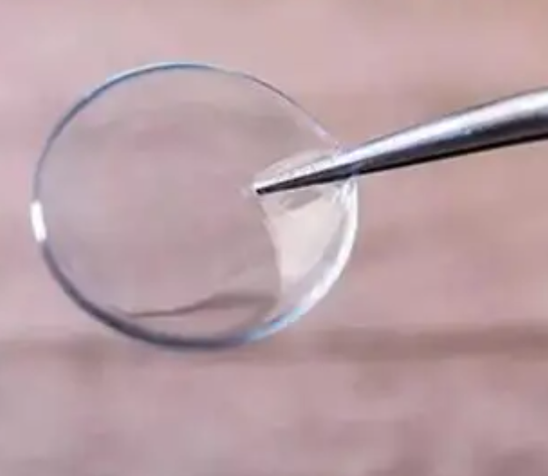 11.png