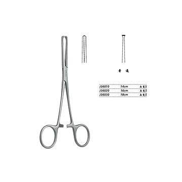 w=360_h=360 - 2025-12-01T133803.840.jpg