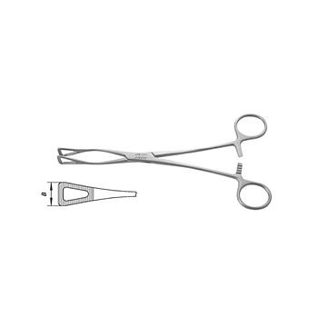 w=360_h=360 (10).jpg