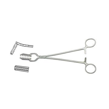 w=360_h=360 (33).jpg