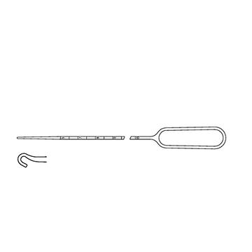 w=360_h=360 - 2025-12-10T135157.722.jpg