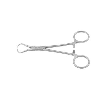 w=360_h=360 - 2025-12-10T145113.003.jpg